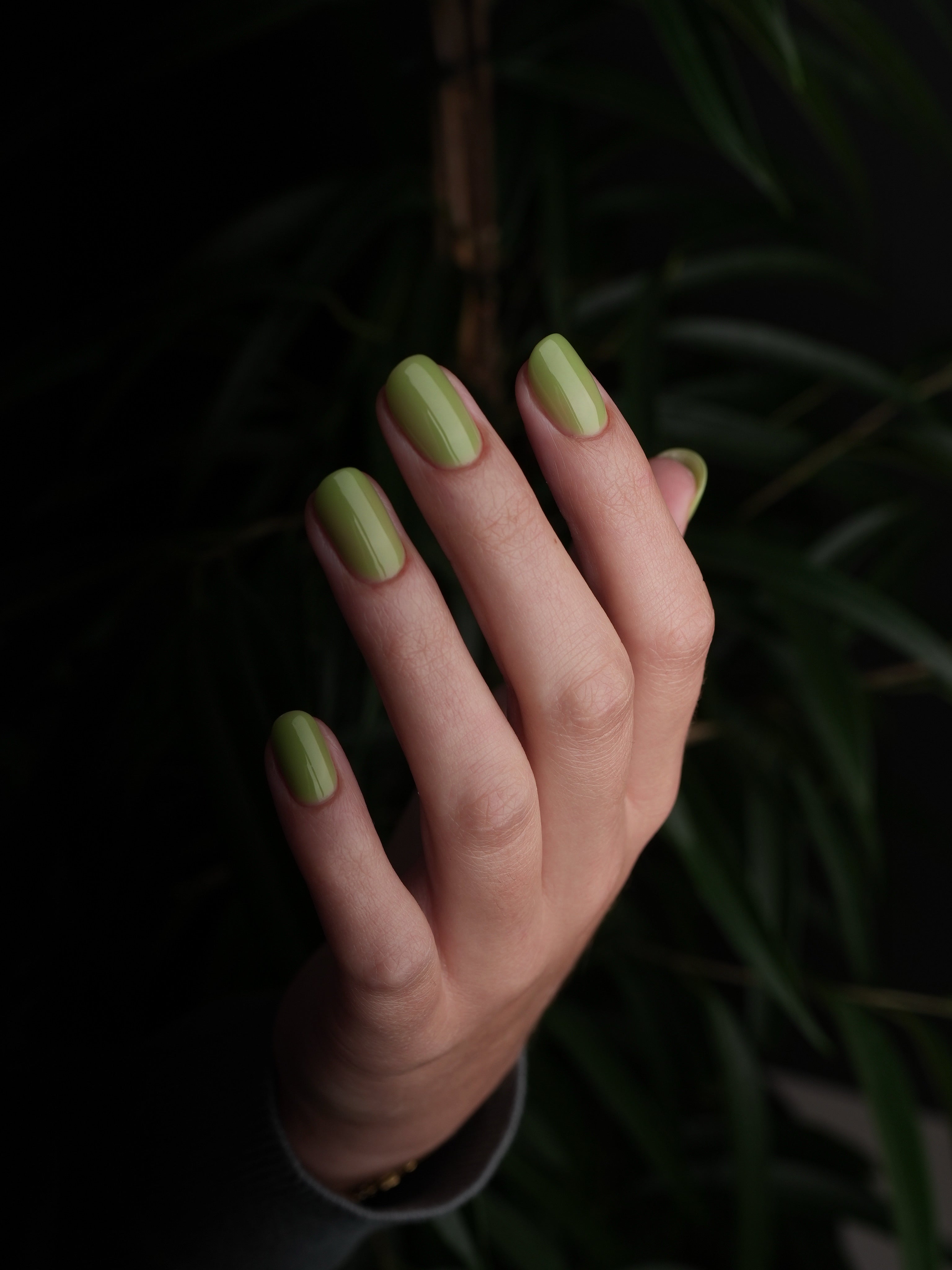 BIAP Matcha - Hema Free