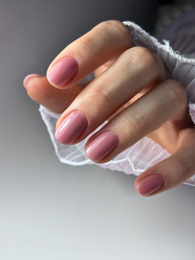 BIAP Lilly Pilly - Hema Free