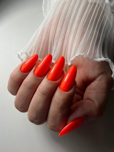 Xolish 05