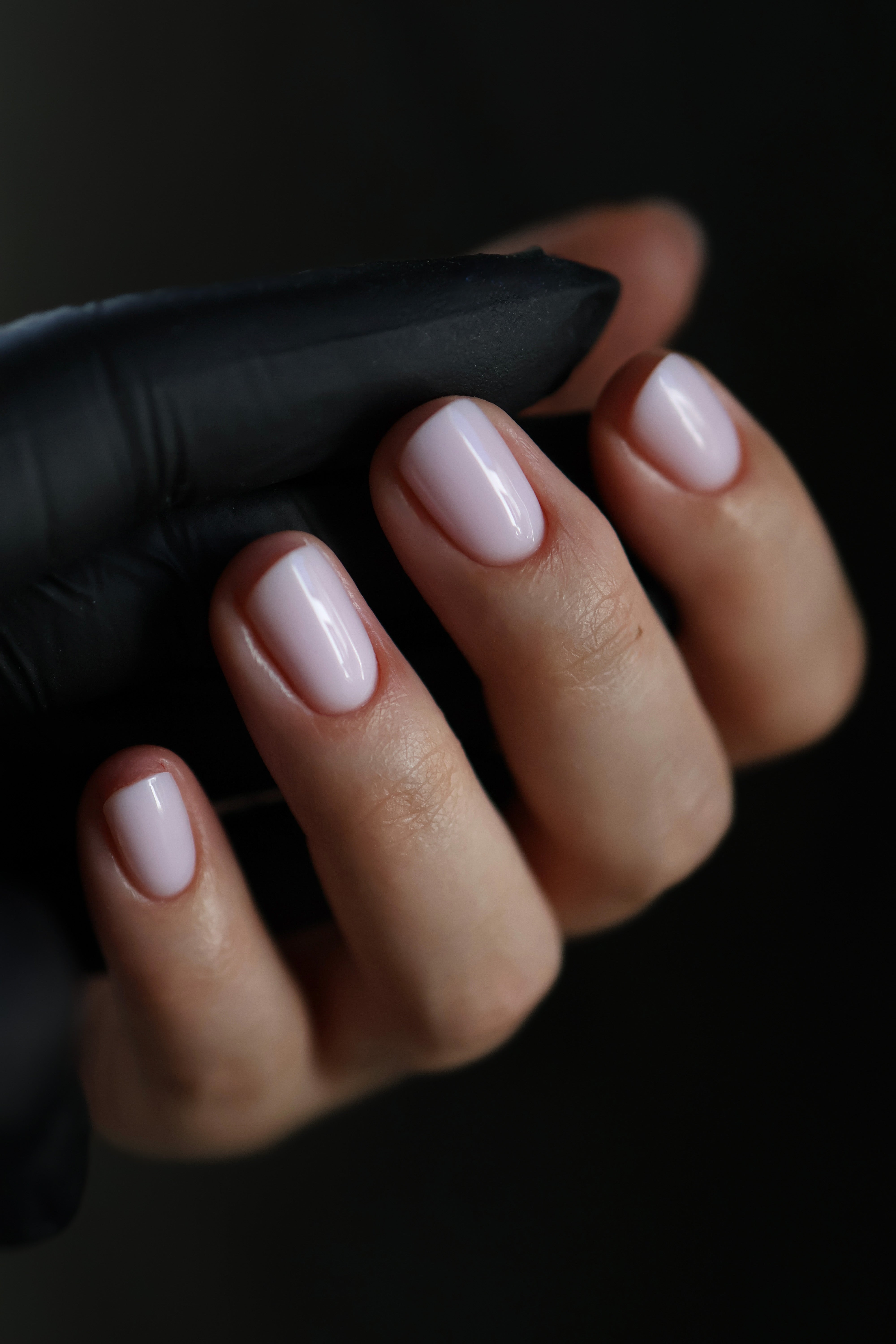 LVL Build box: The Pinks