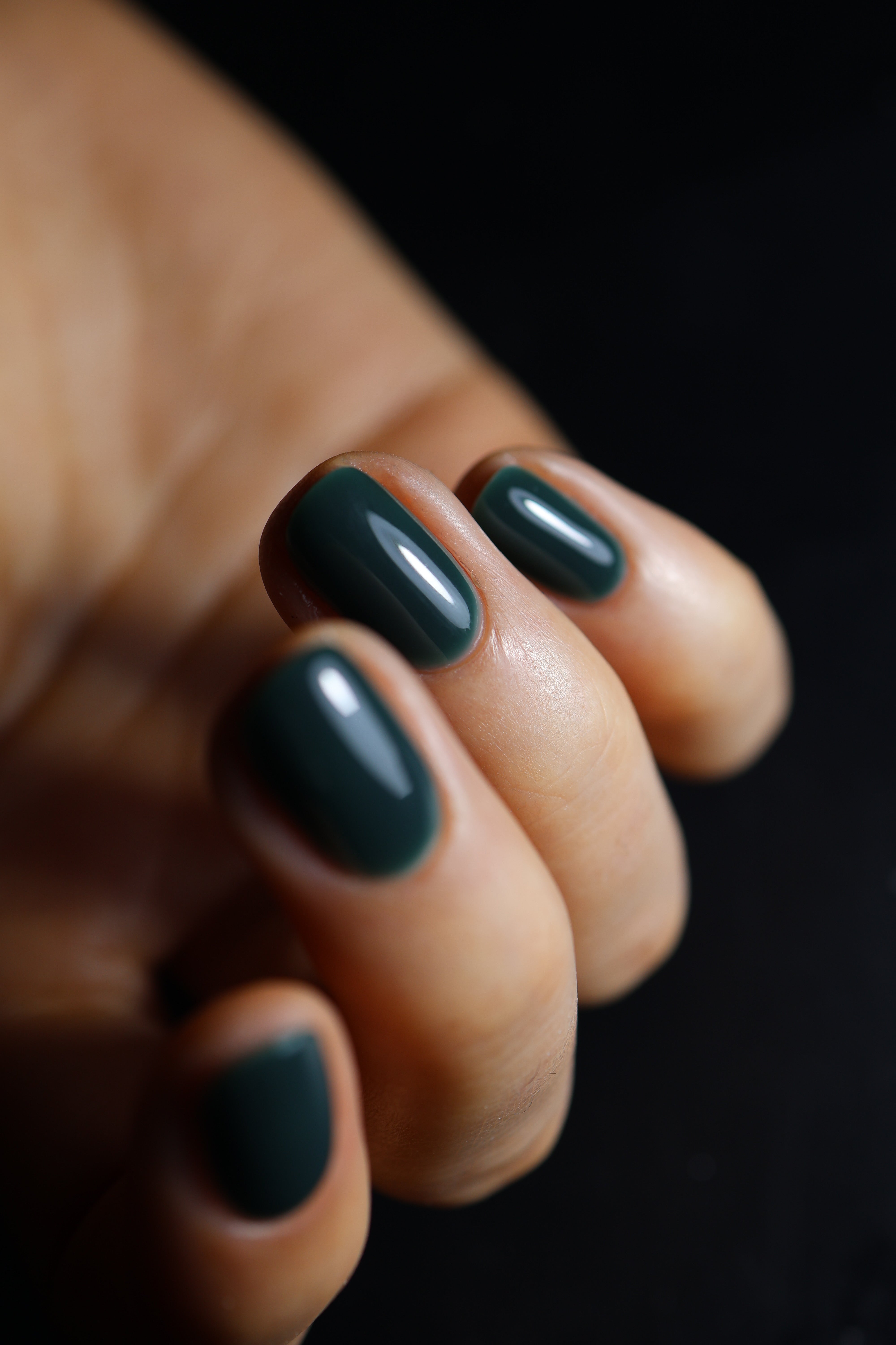 BIAP Pine - Hema Free