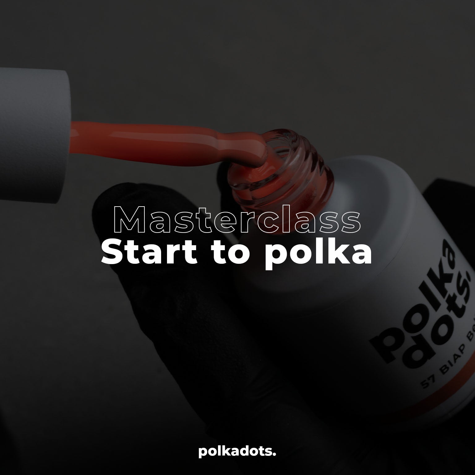 START TO POLKA TRAINING - 10/11/24